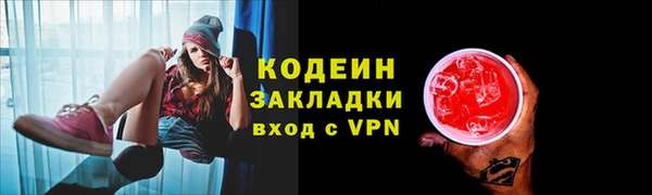 прущие грибы Анива