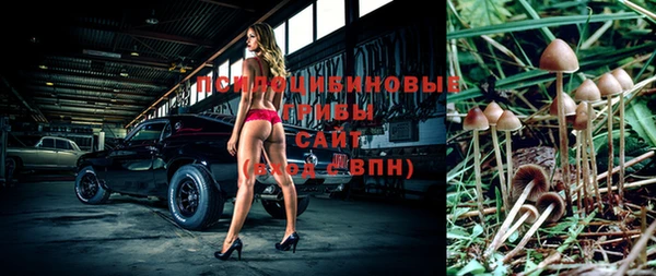 твердый Анжеро-Судженск