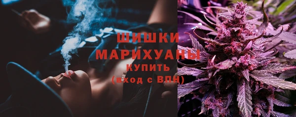 мяу мяу мука Михайлов