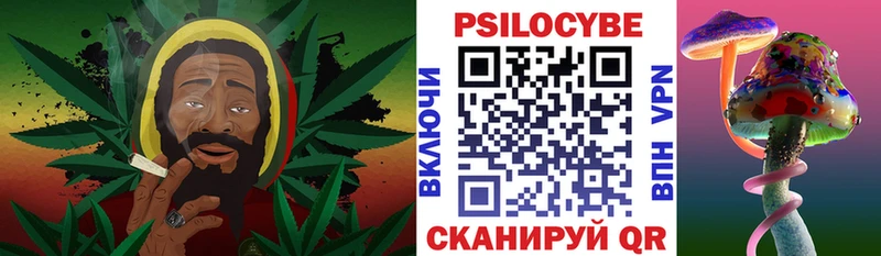 Псилоцибиновые грибы Psilocybine cubensis  blacksprut вход  Александровское  где продают  