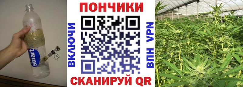 Каннабис AK-47  Александровское 